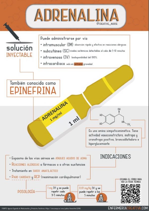 Serie Infografías: Adrenalina