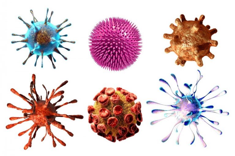 Serie Infografías: Clasificación de las vacunas